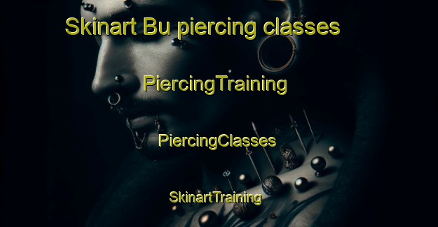 Skinart Bu piercing classes | #PiercingTraining #PiercingClasses #SkinartTraining-France