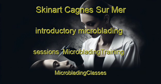 Skinart Cagnes Sur Mer introductory microblading sessions | #MicrobladingTraining #MicrobladingClasses #SkinartTraining-France