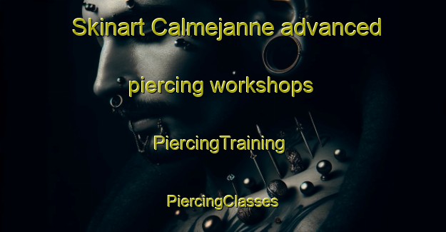 Skinart Calmejanne advanced piercing workshops | #PiercingTraining #PiercingClasses #SkinartTraining-France