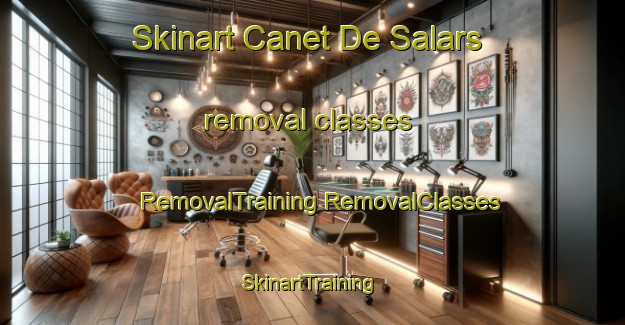 Skinart Canet De Salars removal classes | #RemovalTraining #RemovalClasses #SkinartTraining-France