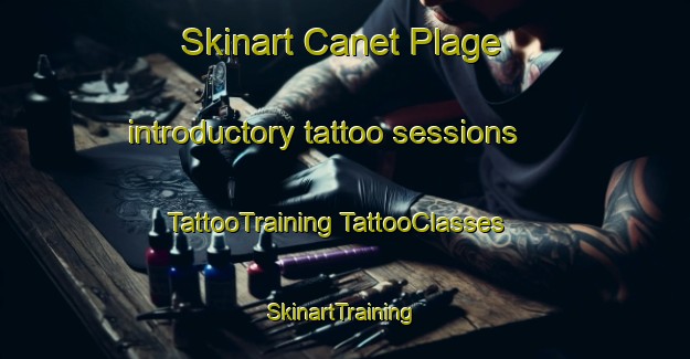 Skinart Canet Plage introductory tattoo sessions | #TattooTraining #TattooClasses #SkinartTraining-France