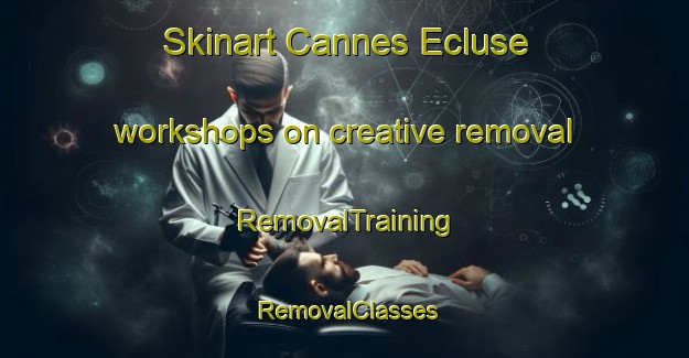 Skinart Cannes Ecluse workshops on creative removal | RemovalTraining | RemovalClasses | SkinartTraining-France