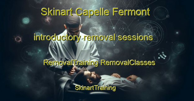 Skinart Capelle Fermont introductory removal sessions | #RemovalTraining #RemovalClasses #SkinartTraining-France