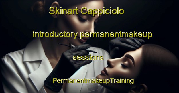 Skinart Cappiciolo introductory permanentmakeup sessions | #PermanentmakeupTraining #PermanentmakeupClasses #SkinartTraining-France