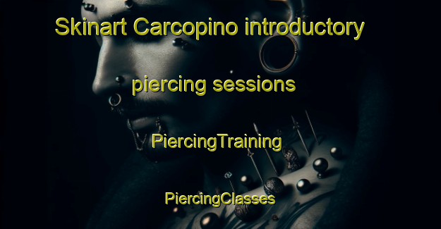 Skinart Carcopino introductory piercing sessions | #PiercingTraining #PiercingClasses #SkinartTraining-France