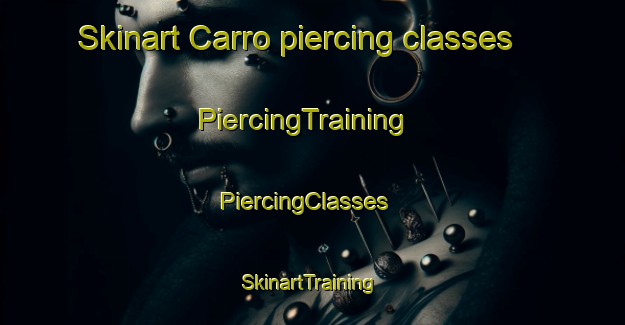 Skinart Carro piercing classes | PiercingTraining | PiercingClasses | SkinartTraining-France