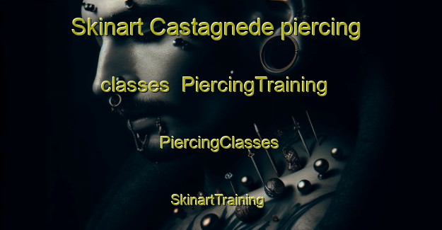 Skinart Castagnede piercing classes | #PiercingTraining #PiercingClasses #SkinartTraining-France