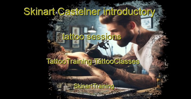 Skinart Castelner introductory tattoo sessions | #TattooTraining #TattooClasses #SkinartTraining-France