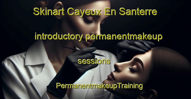 Skinart Cayeux En Santerre introductory permanentmakeup sessions | #PermanentmakeupTraining #PermanentmakeupClasses #SkinartTraining-France