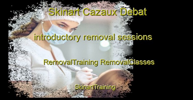 Skinart Cazaux Debat introductory removal sessions | #RemovalTraining #RemovalClasses #SkinartTraining-France