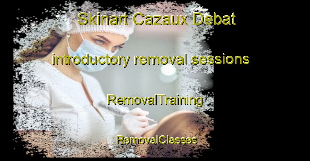 Skinart Cazaux Debat introductory removal sessions | RemovalTraining | RemovalClasses | SkinartTraining-France