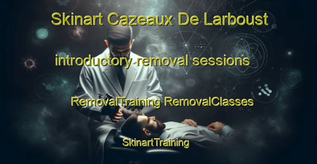 Skinart Cazeaux De Larboust introductory removal sessions | #RemovalTraining #RemovalClasses #SkinartTraining-France