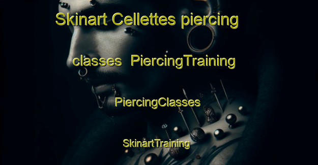 Skinart Cellettes piercing classes | #PiercingTraining #PiercingClasses #SkinartTraining-France