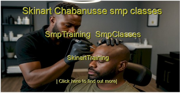 Skinart Chabanusse smp classes | SmpTraining | SmpClasses | SkinartTraining-France