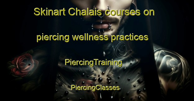 Skinart Chalais courses on piercing wellness practices | PiercingTraining | PiercingClasses | SkinartTraining-France