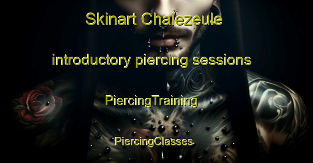 Skinart Chalezeule introductory piercing sessions | PiercingTraining | PiercingClasses | SkinartTraining-France