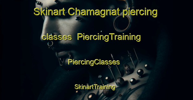 Skinart Chamagnat piercing classes | PiercingTraining | PiercingClasses | SkinartTraining-France