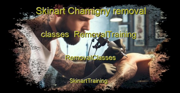 Skinart Chamigny removal classes | RemovalTraining | RemovalClasses | SkinartTraining-France