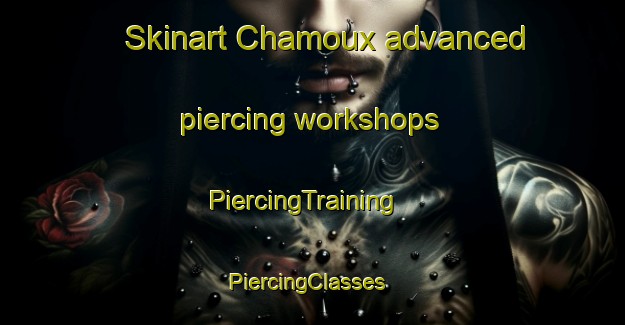 Skinart Chamoux advanced piercing workshops | PiercingTraining | PiercingClasses | SkinartTraining-France