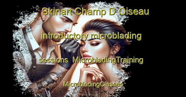 Skinart Champ D Oiseau introductory microblading sessions | #MicrobladingTraining #MicrobladingClasses #SkinartTraining-France