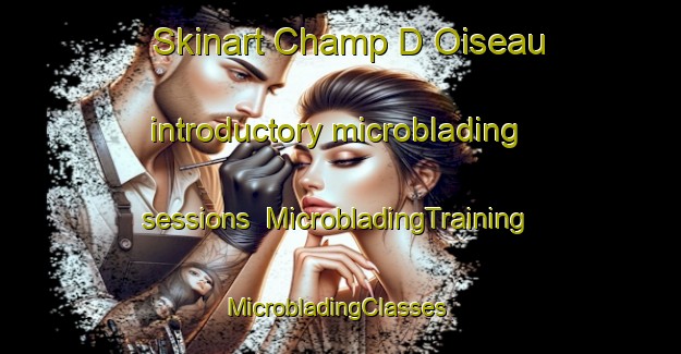 Skinart Champ D Oiseau introductory microblading sessions | MicrobladingTraining | MicrobladingClasses | SkinartTraining-France