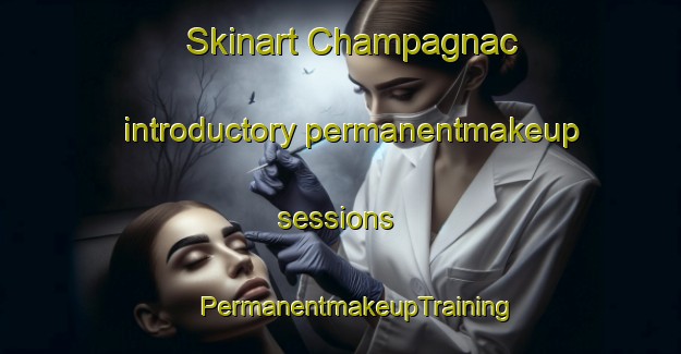 Skinart Champagnac introductory permanentmakeup sessions | #PermanentmakeupTraining #PermanentmakeupClasses #SkinartTraining-France