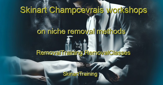 Skinart Champcevrais workshops on niche removal methods | #RemovalTraining #RemovalClasses #SkinartTraining-France