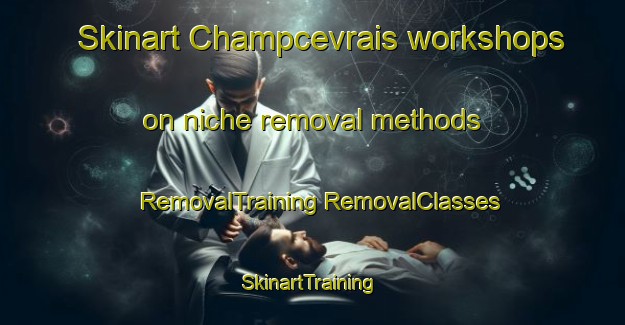 Skinart Champcevrais workshops on niche removal methods | #RemovalTraining #RemovalClasses #SkinartTraining-France