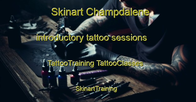 Skinart Champdalene introductory tattoo sessions | #TattooTraining #TattooClasses #SkinartTraining-France