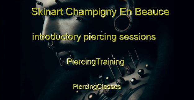 Skinart Champigny En Beauce introductory piercing sessions | #PiercingTraining #PiercingClasses #SkinartTraining-France