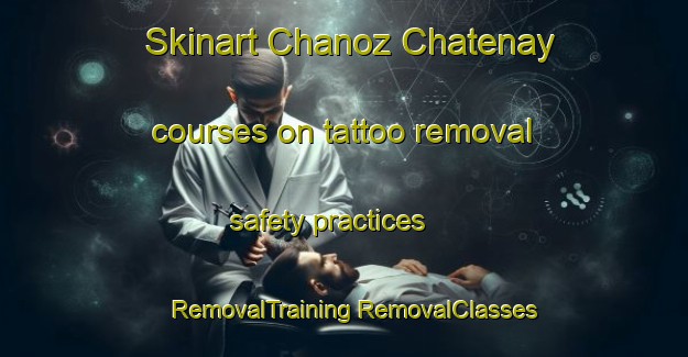 Skinart Chanoz Chatenay courses on tattoo removal safety practices | #RemovalTraining #RemovalClasses #SkinartTraining-France