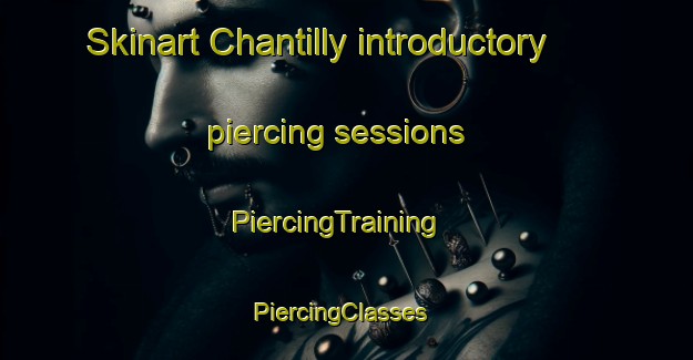 Skinart Chantilly introductory piercing sessions | PiercingTraining | PiercingClasses | SkinartTraining-France