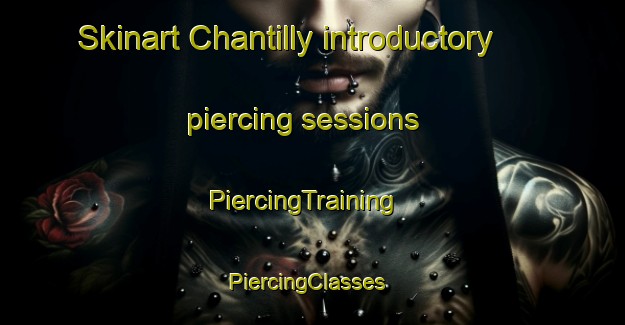 Skinart Chantilly introductory piercing sessions | PiercingTraining | PiercingClasses | SkinartTraining-France
