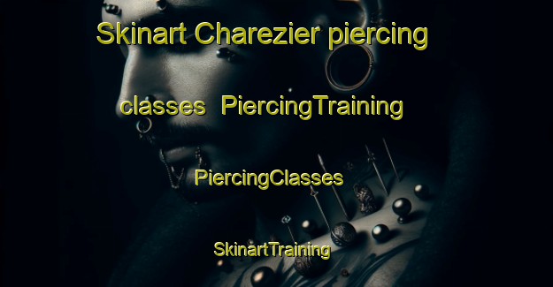 Skinart Charezier piercing classes | PiercingTraining | PiercingClasses | SkinartTraining-France