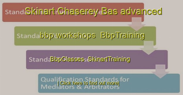 Skinart Chaserey Bas advanced bbp workshops | BbpTraining | BbpClasses | SkinartTraining-France
