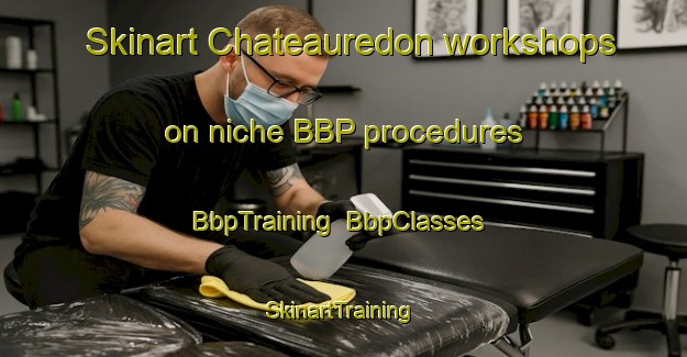 Skinart Chateauredon workshops on niche BBP procedures | BbpTraining | BbpClasses | SkinartTraining-France
