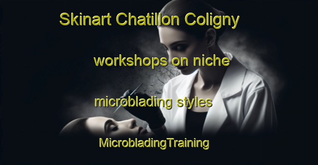 Skinart Chatillon Coligny workshops on niche microblading styles | MicrobladingTraining | MicrobladingClasses | SkinartTraining-France