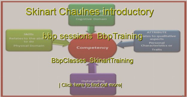 Skinart Chaulnes introductory bbp sessions | BbpTraining | BbpClasses | SkinartTraining-France