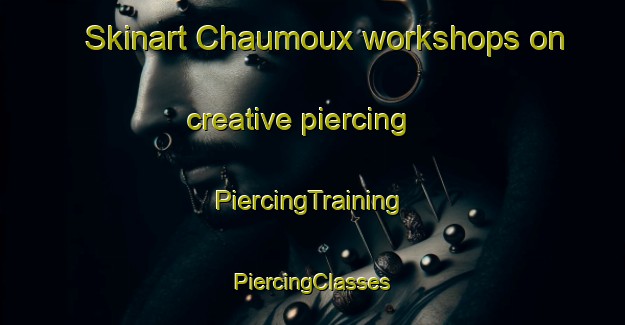 Skinart Chaumoux workshops on creative piercing | #PiercingTraining #PiercingClasses #SkinartTraining-France