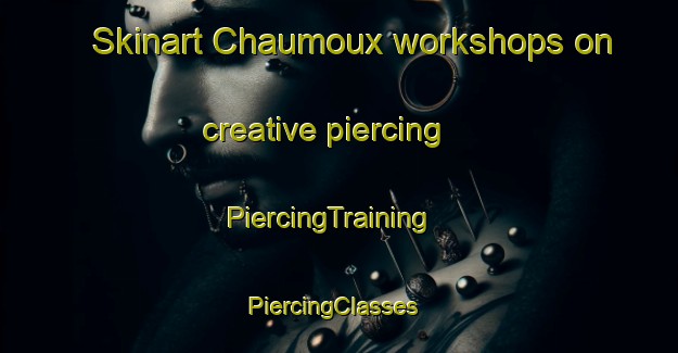 Skinart Chaumoux workshops on creative piercing | PiercingTraining | PiercingClasses | SkinartTraining-France
