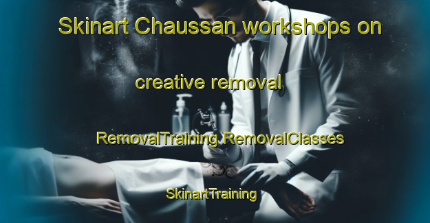 Skinart Chaussan workshops on creative removal | #RemovalTraining #RemovalClasses #SkinartTraining-France