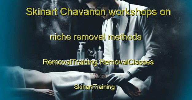 Skinart Chavanon workshops on niche removal methods | #RemovalTraining #RemovalClasses #SkinartTraining-France