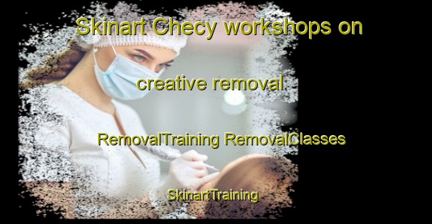 Skinart Checy workshops on creative removal | #RemovalTraining #RemovalClasses #SkinartTraining-France