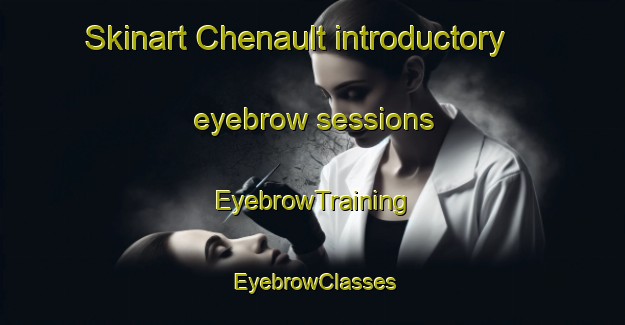 Skinart Chenault introductory eyebrow sessions | EyebrowTraining | EyebrowClasses | SkinartTraining-France