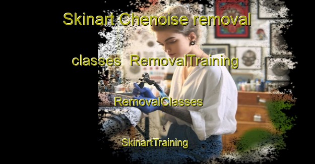 Skinart Chenoise removal classes | RemovalTraining | RemovalClasses | SkinartTraining-France