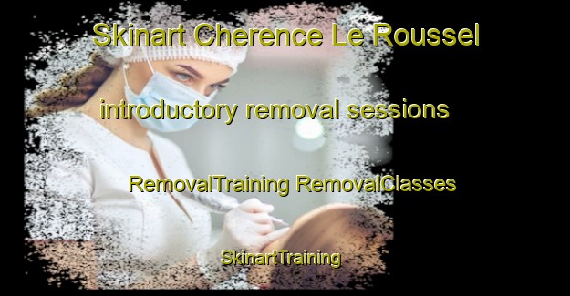 Skinart Cherence Le Roussel introductory removal sessions | #RemovalTraining #RemovalClasses #SkinartTraining-France