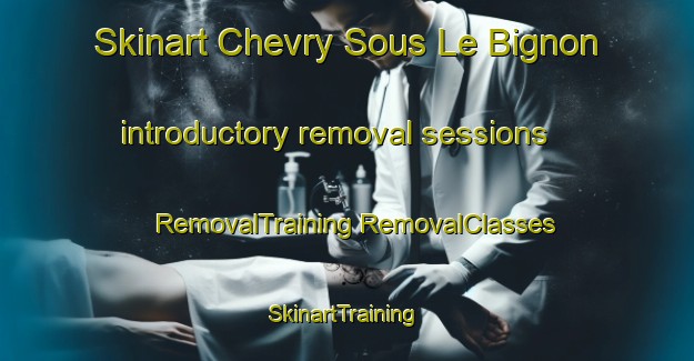 Skinart Chevry Sous Le Bignon introductory removal sessions | #RemovalTraining #RemovalClasses #SkinartTraining-France