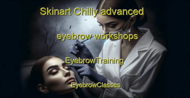 Skinart Chilly advanced eyebrow workshops | EyebrowTraining | EyebrowClasses | SkinartTraining-France