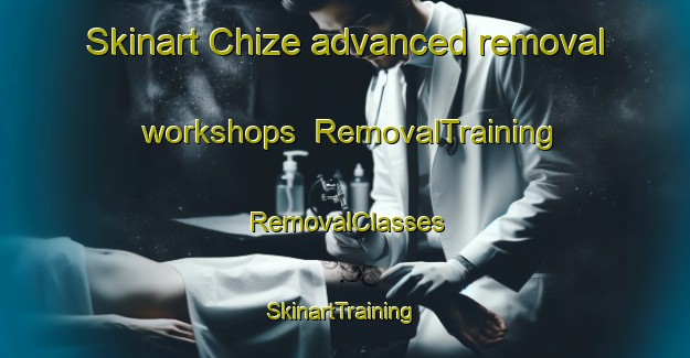 Skinart Chize advanced removal workshops | RemovalTraining | RemovalClasses | SkinartTraining-France