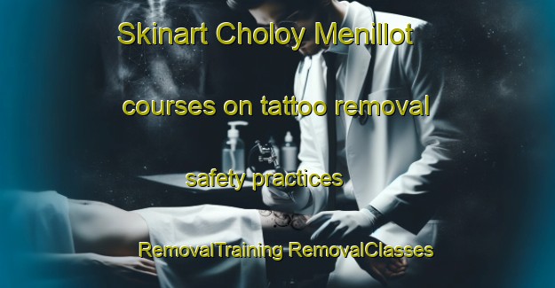 Skinart Choloy Menillot courses on tattoo removal safety practices | #RemovalTraining #RemovalClasses #SkinartTraining-France